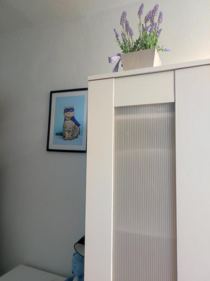 Single Room No.4 In The Very Center Of Warszawa Exteriör bild